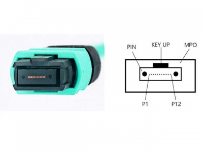 MPO-MPO 12芯光纤跳线